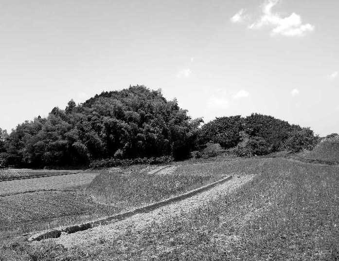 d0140806_1371360.jpg