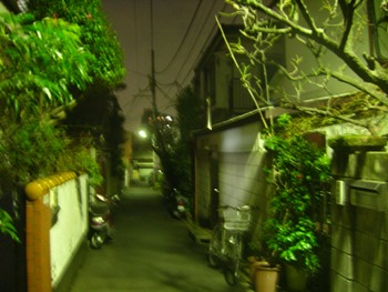 c0006211_21125371.jpg