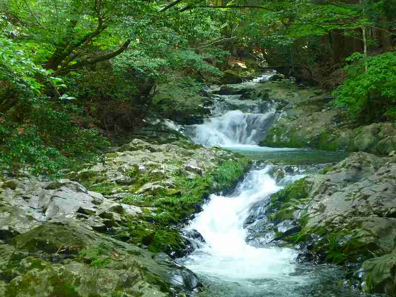 f0182513_2221773.jpg