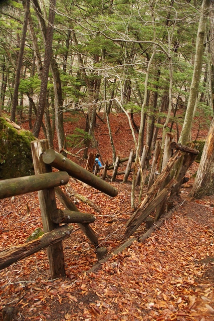 b0207615_22213592.jpg