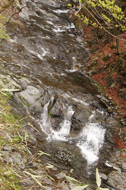 b0207615_22221707.jpg