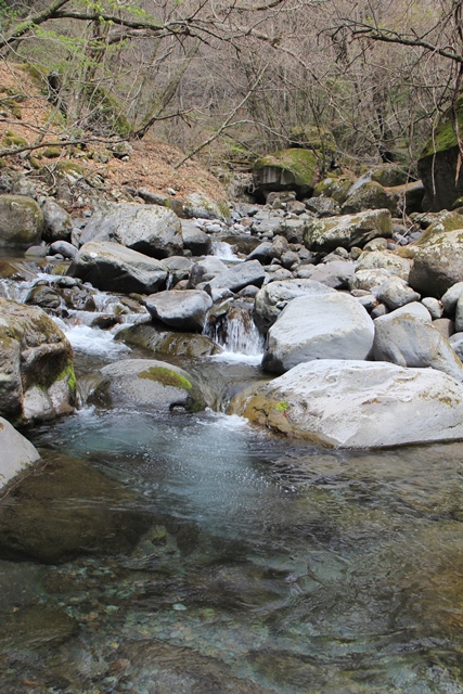b0207615_22250999.jpg