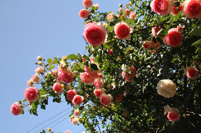 b0207615_22565008.jpg