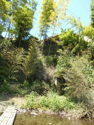 c0317915_16193517.jpg