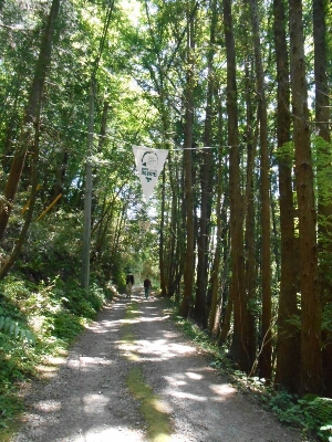 c0317915_16212518.jpg