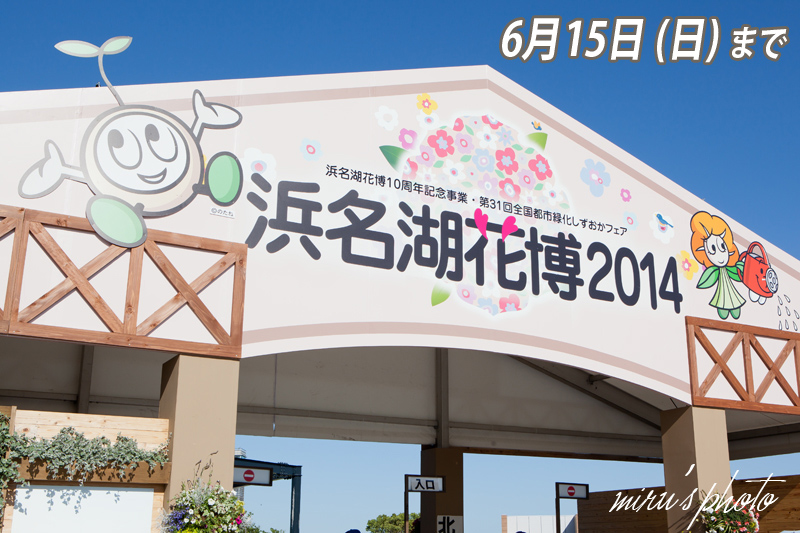 c0037519_8352968.jpg