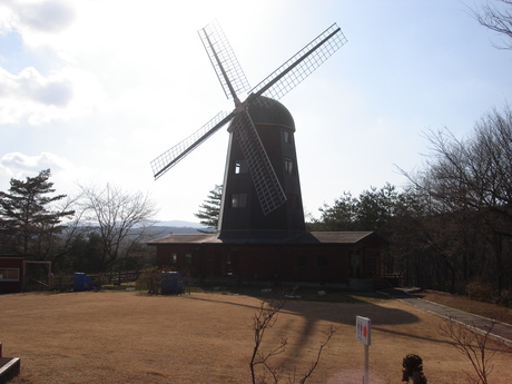 d0250123_18165751.jpg