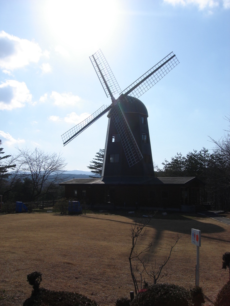 d0250123_18195167.jpg