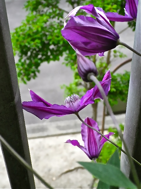 b0027736_2156847.jpg