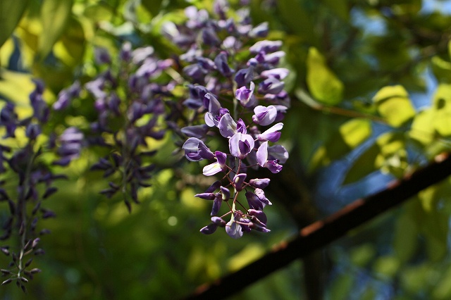 a0242438_19523331.jpg