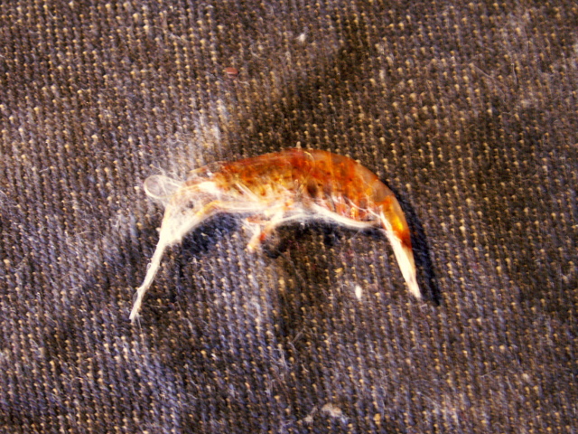 b0139239_2110422.jpg