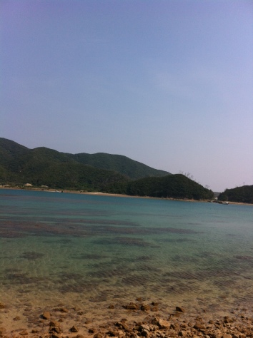 b0226748_08072716.jpg