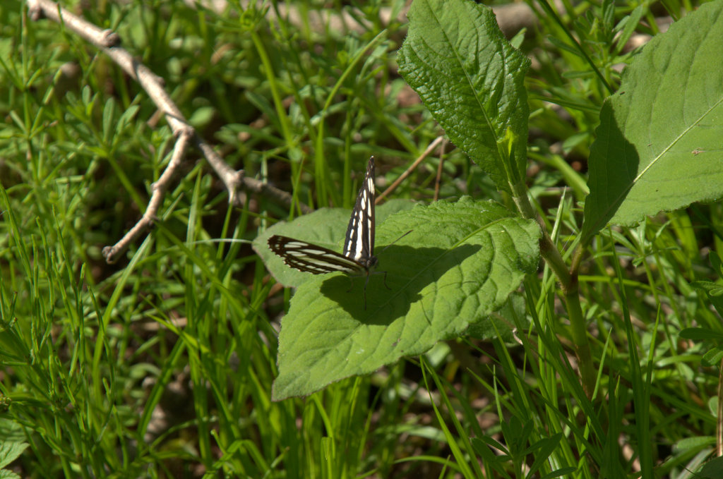 d0098057_1635119.jpg
