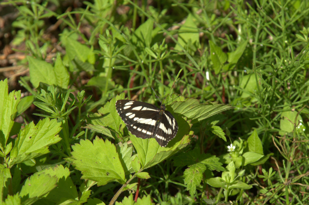 d0098057_16443769.jpg