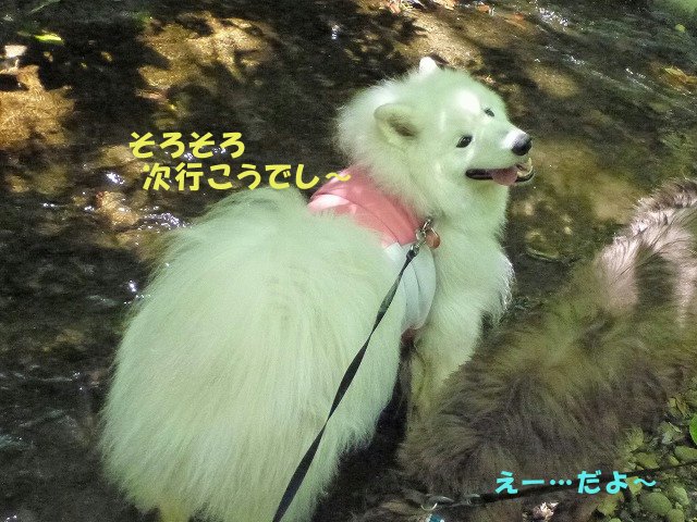 e0176159_10511302.jpg