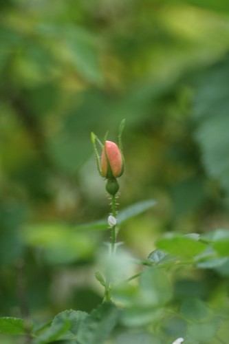c0186463_06571.jpg