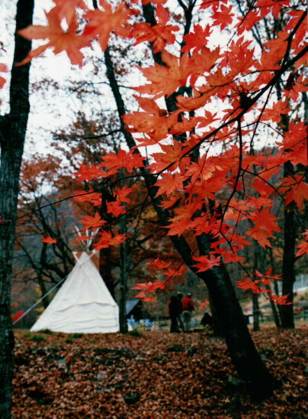 c0122670_00314911.jpg