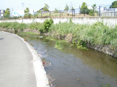 c0112172_1321362.jpg