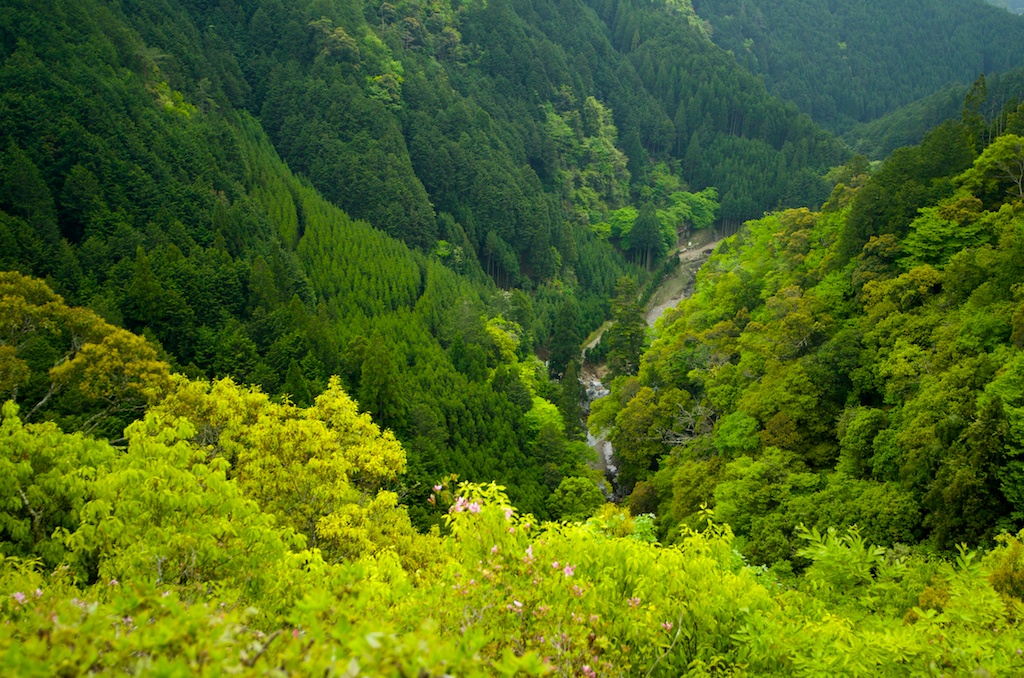 b0247073_21362154.jpg
