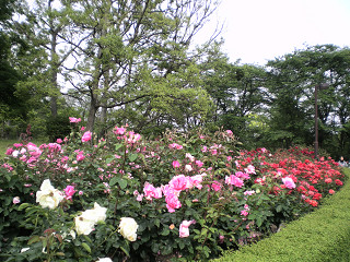 c0311276_18532047.jpg