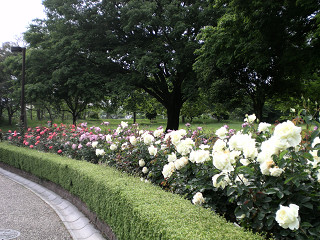c0311276_18533618.jpg