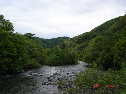 d0165378_10471322.jpg