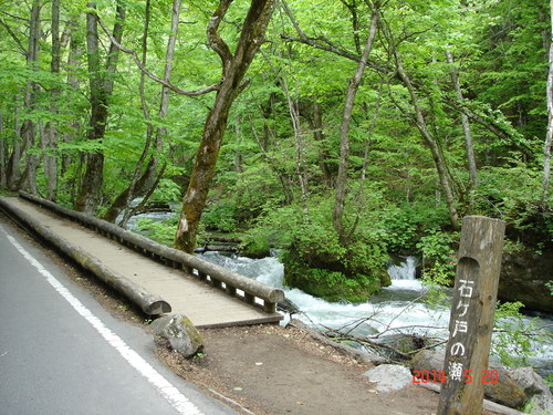 d0165378_1048135.jpg