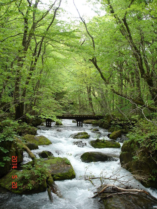 d0165378_10531626.jpg