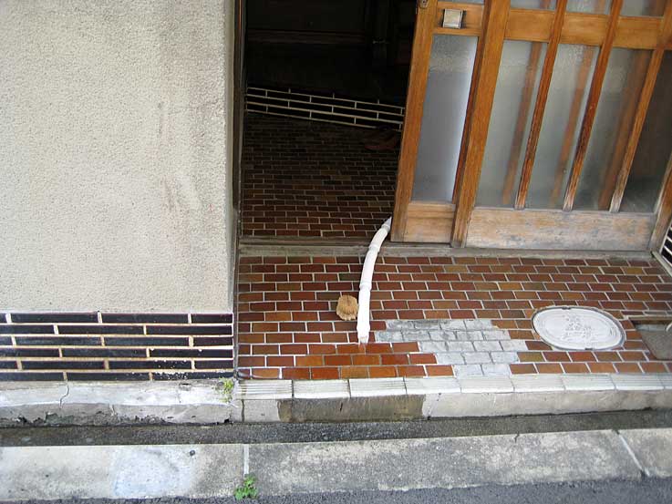 b0057679_846848.jpg