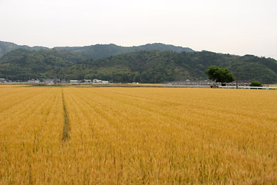 c0152779_18403237.jpg