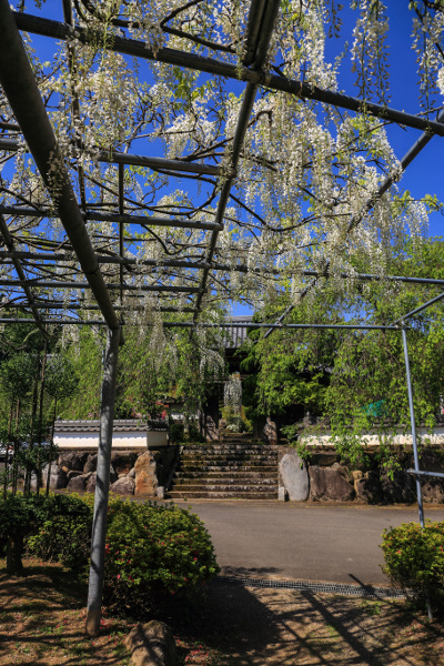 e0051888_11482360.jpg