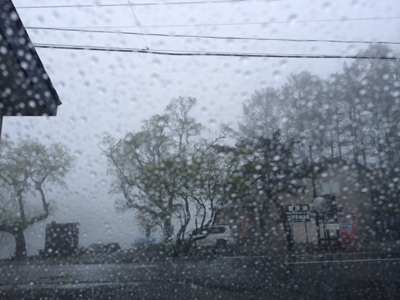 c0003493_9571878.jpg