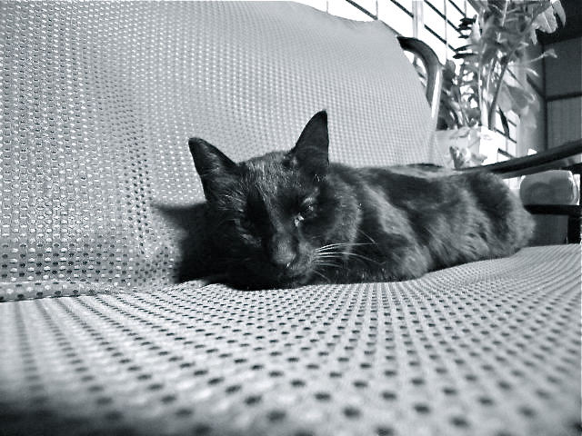 a0199297_19325746.jpg