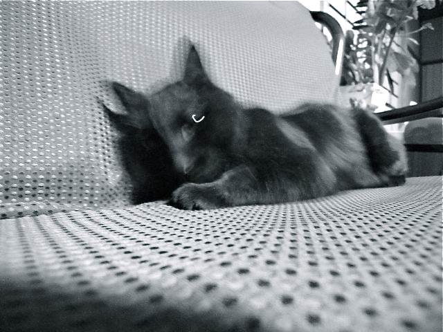 a0199297_19343775.jpg