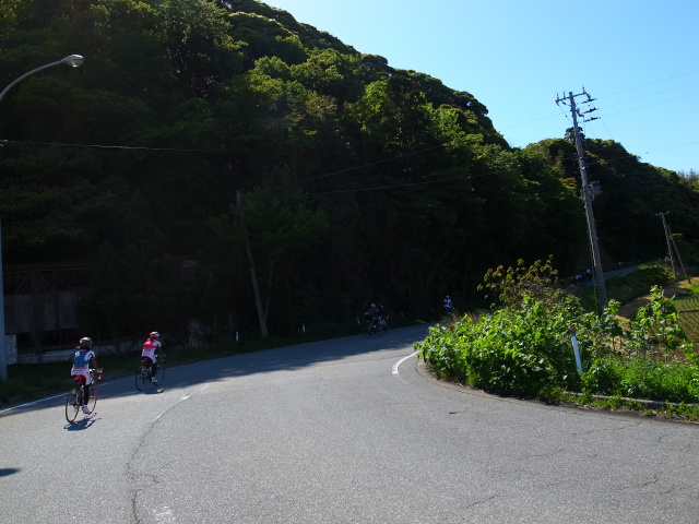 d0081997_14000980.jpg
