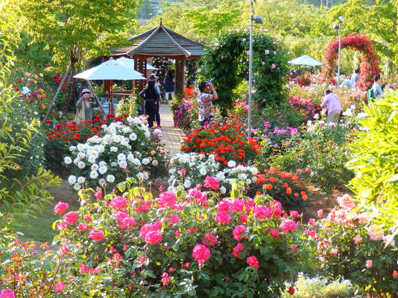 f0307097_040346.jpg