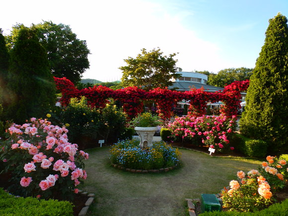 f0307097_0422261.jpg