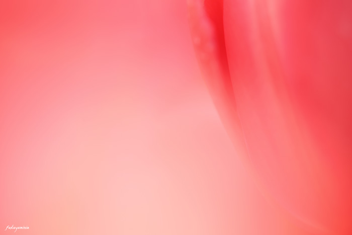 f0185802_20314358.jpg