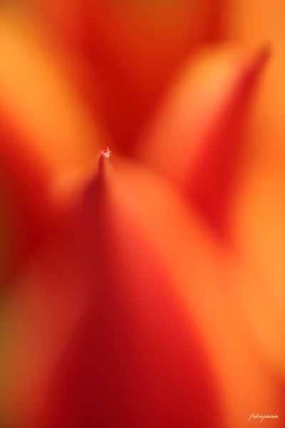 f0185802_2032524.jpg