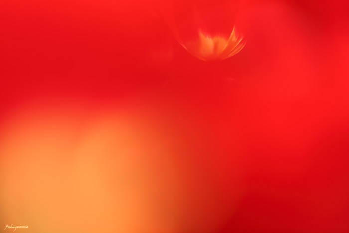 f0185802_20332083.jpg