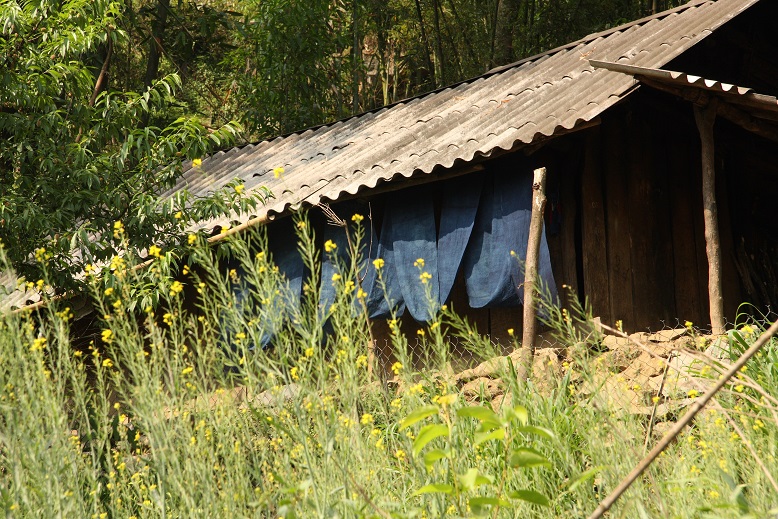d0136804_1045039.jpg