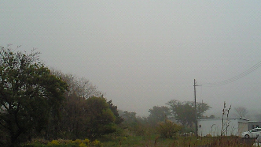 d0149105_732493.jpg