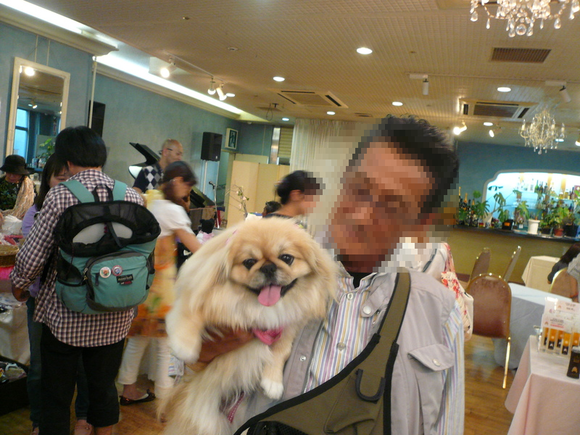 f0301306_13423162.png
