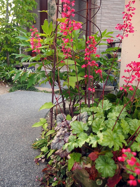 c0290908_207317.jpg