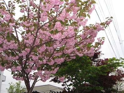 f0325309_16105397.jpg