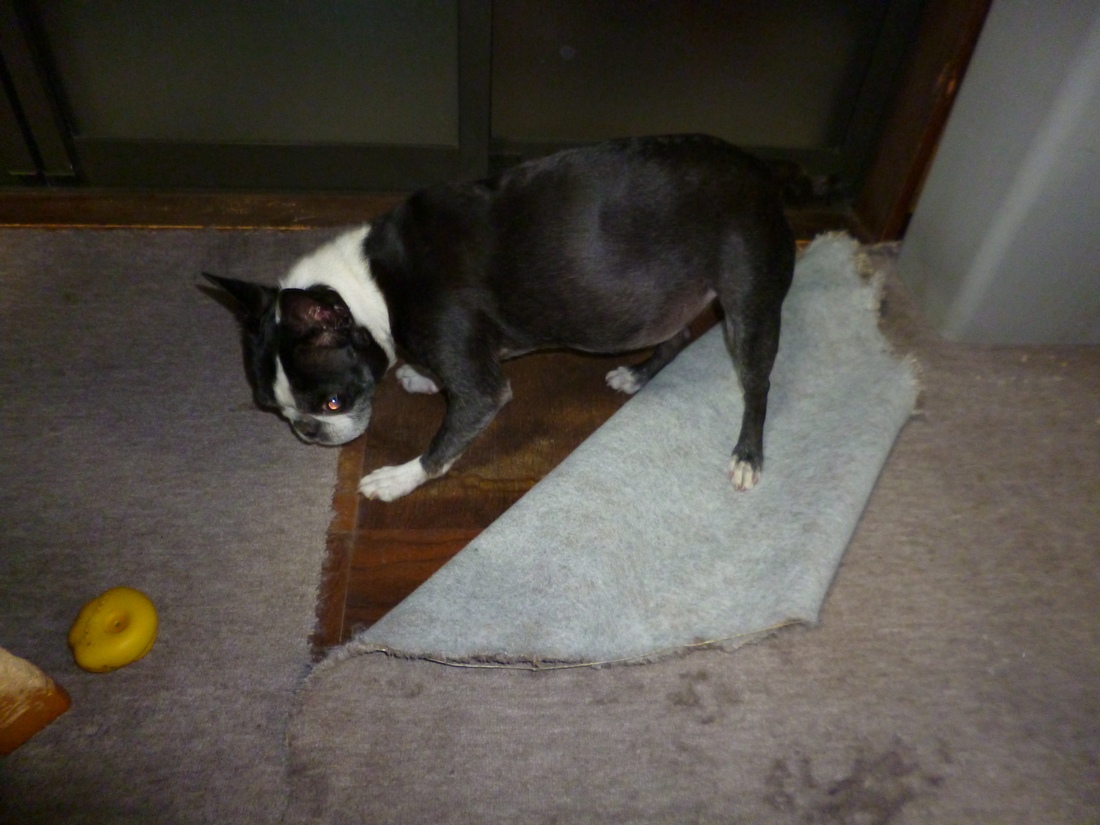 c0280416_21431268.jpg