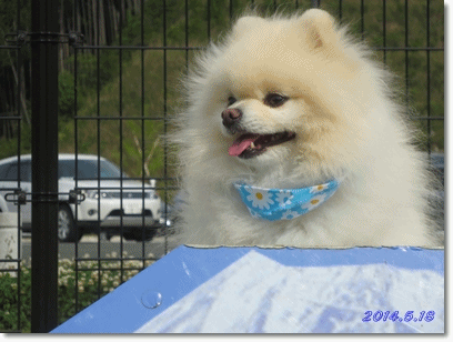 b0167519_23393181.gif