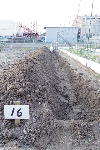 e0311225_19502092.jpg