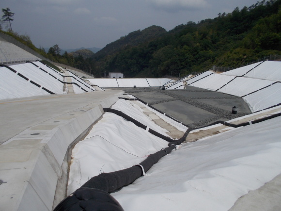 f0111128_11251763.jpg