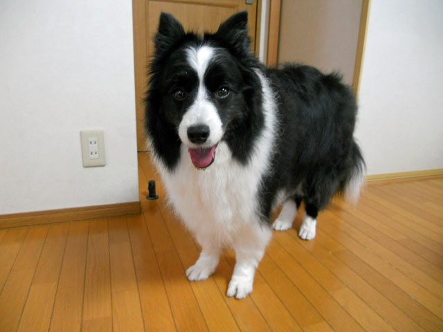 d0059230_840402.jpg